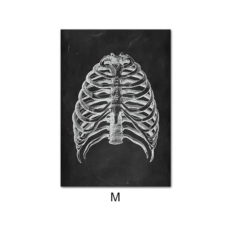 image-Canvas Painting Of Human Anatomy Skeleton Organ System