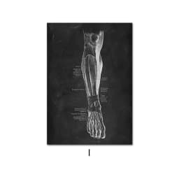 image-Canvas Painting Of Human Anatomy Skeleton Organ System