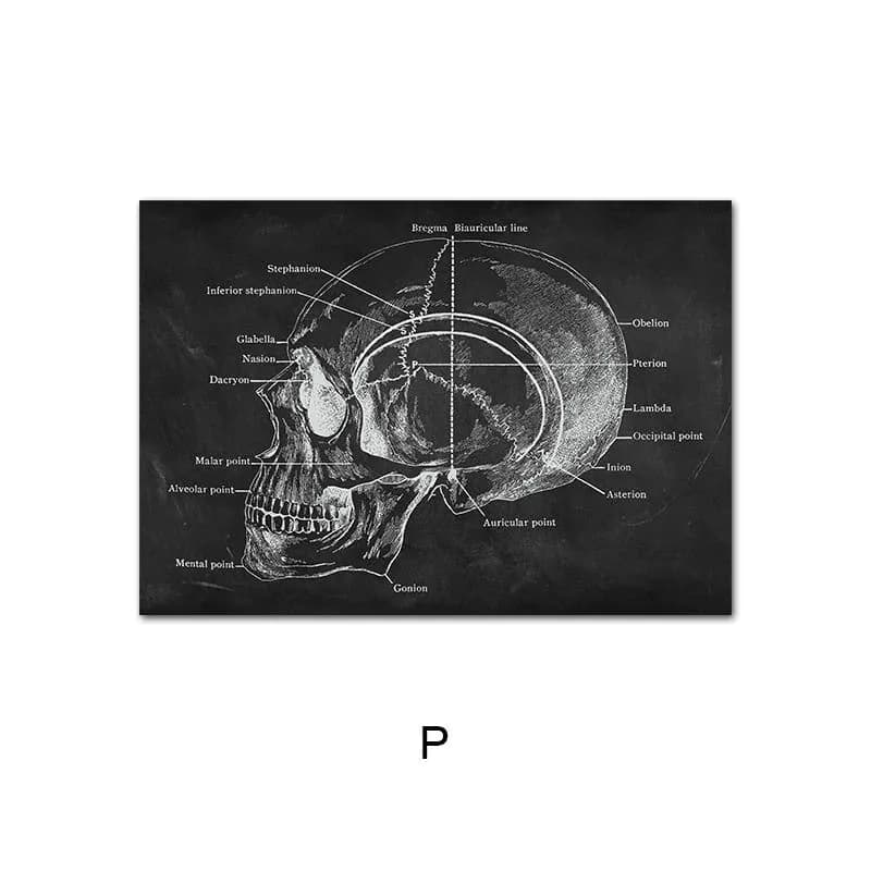 image-Canvas Painting Of Human Anatomy Skeleton Organ System