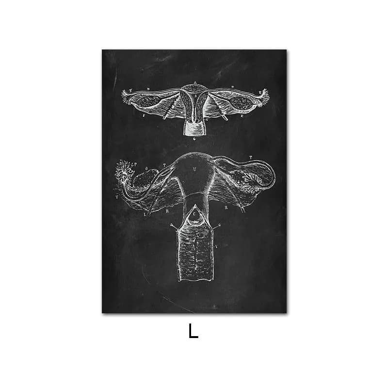 image-Canvas Painting Of Human Anatomy Skeleton Organ System
