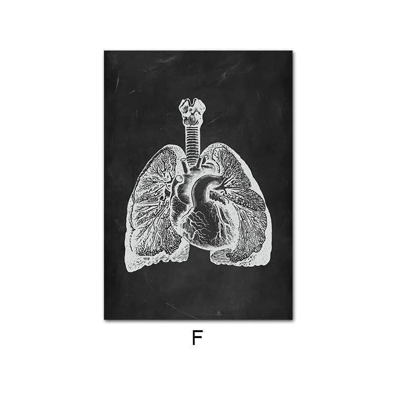 image-Canvas Painting Of Human Anatomy Skeleton Organ System