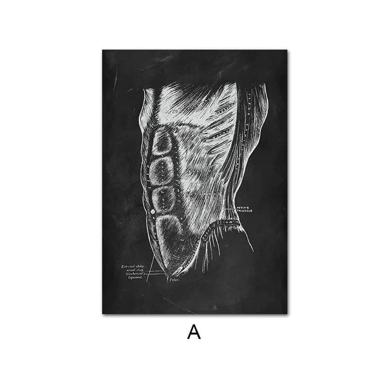 image-Canvas Painting Of Human Anatomy Skeleton Organ System