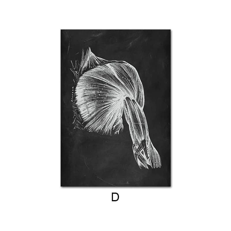 image-Canvas Painting Of Human Anatomy Skeleton Organ System