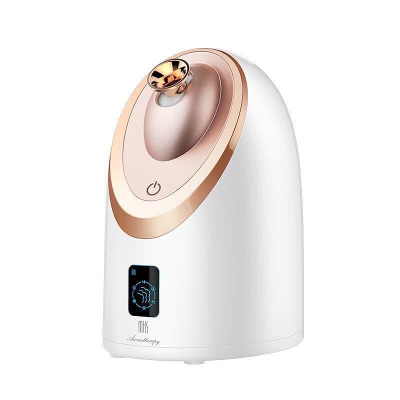 image-Facial Steamer Nano Spray Moisturizing Instrument Hot Spray Humidifier Steam Household