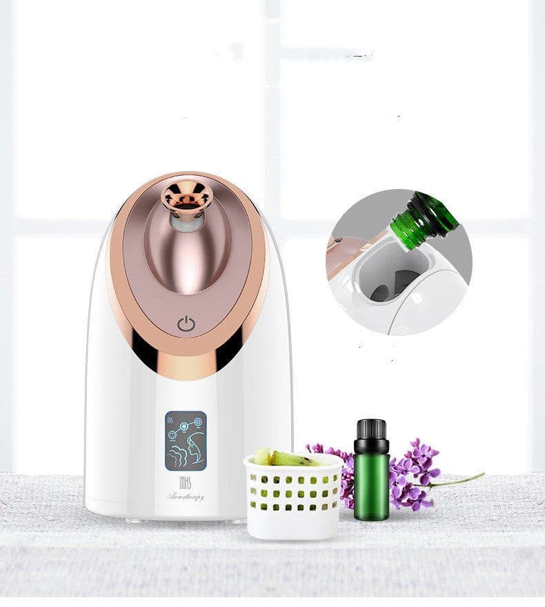 image-Facial Steamer Nano Spray Moisturizing Instrument Hot Spray Humidifier Steam Household