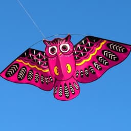 image-Owl Kite Cartoon Children's Kite Crafts Outdoor Flying