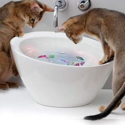 image-Cat Interactive Electric Fish Water Toy For Indoor Play Swimming Robot Fish Toys For Cat Dog Pet Baby Swimmer Bath Robofish Toys
