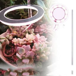 image-Full-spectrum LED Imitating Sun Coloring Plant Succulent Fill Light Lamp