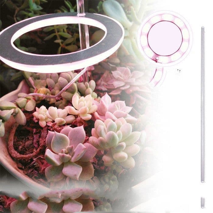 image-Full-spectrum LED Imitating Sun Coloring Plant Succulent Fill Light Lamp