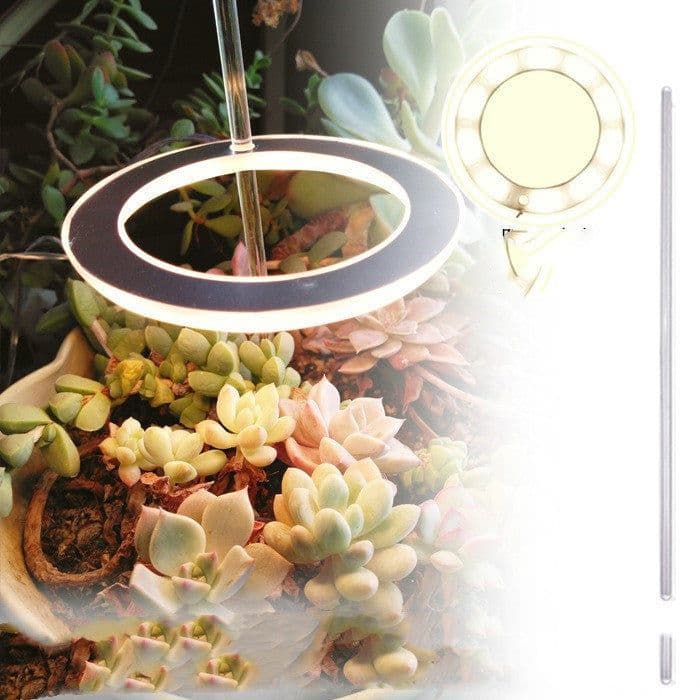 image-Full-spectrum LED Imitating Sun Coloring Plant Succulent Fill Light Lamp