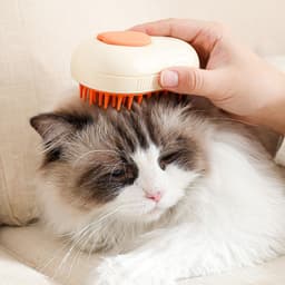 image-Steamy Cat Brush Cat Dog Grooming Comb Electric Self Cleaning Steam Cat Brush For Massage Avocado Shape Pet Spray Cat Grooming