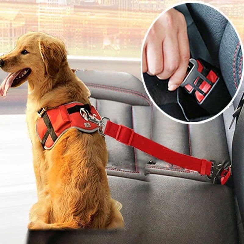 image-Adjustable Pet Cat Dog Car Seat Belt Pet Seat Vehicle Dog Harness Lead Clip Safety Lever Traction Dog Collars Dogs Accessoires Pets Products