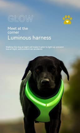 image-LED Luminous Dog Harness Led USB Charging Dog Chest Strap Vest Pet Safety Reflective Harness Pet Vest For Puppy Large Dog Pet Products