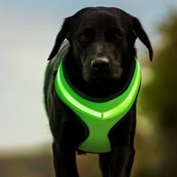 image-LED Luminous Dog Harness Led USB Charging Dog Chest Strap Vest Pet Safety Reflective Harness Pet Vest For Puppy Large Dog Pet Products