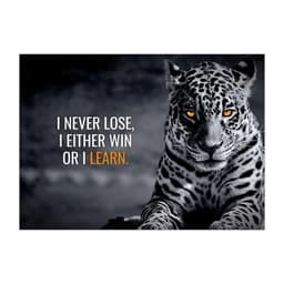 image-Motivational Poster Interior Paintings Never Give Up