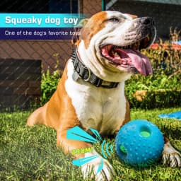 image-Pet Squall Ball Dog Playmate Sound Relieving Toys