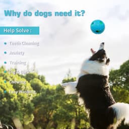 image-Pet Squall Ball Dog Playmate Sound Relieving Toys