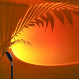 image-Live Broadcast Background Atmosphere Lights Sunset Sunset Lights