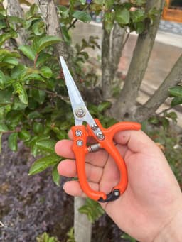 image-Multifunctional Garden Scissors Pruning Shears Manual With Safety Buckle Stainless Steel Spring Gardening Pruning Shear Branch Plant Cutter