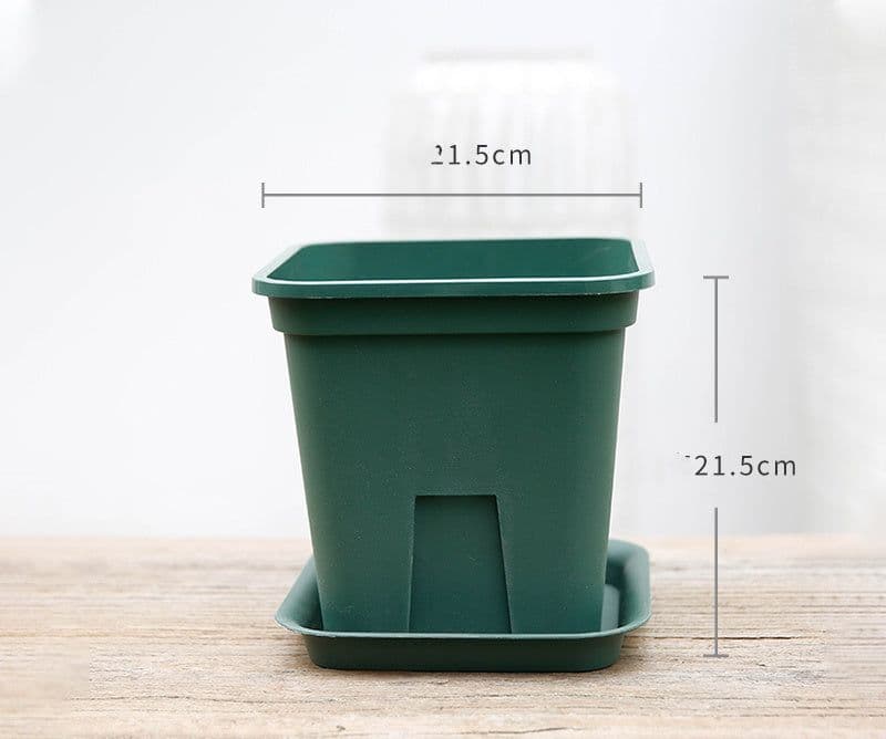 image-Tasha''s garden Castle Peak root control basin gardening flower planting basin rose Clematis gallon basin resin flowerpot
