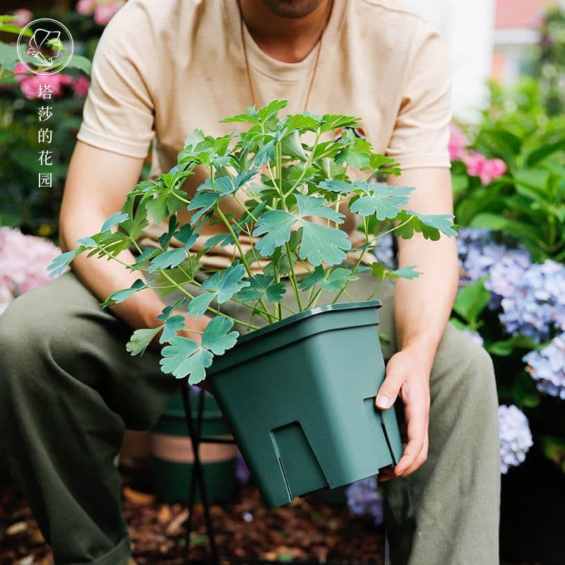 image-Tasha''s garden Castle Peak root control basin gardening flower planting basin rose Clematis gallon basin resin flowerpot