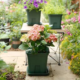 image-Tasha''s garden Castle Peak root control basin gardening flower planting basin rose Clematis gallon basin resin flowerpot