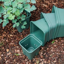 image-Tasha''s garden Castle Peak root control basin gardening flower planting basin rose Clematis gallon basin resin flowerpot