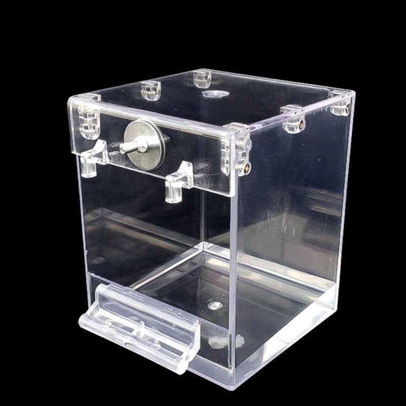 image-External Bird Bath Transparent Bath Square Basin Bird Supplies Pet Supplies
