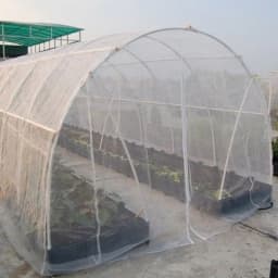 image-Agricultural Insect Nets, Gardening Supplies, Organic Vegetables, Flowers, Etc. Physical Insect Control