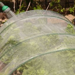 image-Agricultural Insect Nets, Gardening Supplies, Organic Vegetables, Flowers, Etc. Physical Insect Control