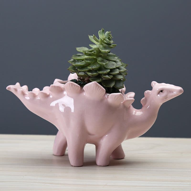 image-Dinosaur Succulent Flower Pot Home Gardening Indoor Ceramic Flower Pot