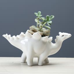 image-Dinosaur Succulent Flower Pot Home Gardening Indoor Ceramic Flower Pot