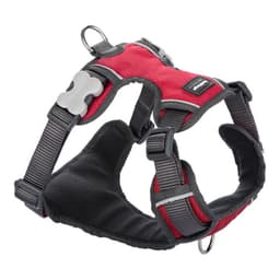 image-Dog Harness Red Dingo Padded Red S