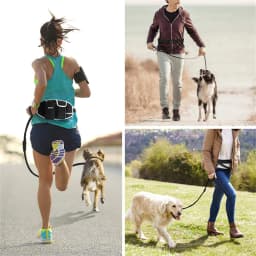 image-Dog Training Leash Waist Bag Hands-Free Outdoor Pet Running Walking Leash Portable Dog Food Water Cup Storage Bags