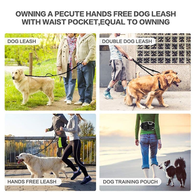 image-Dog Training Leash Waist Bag Hands-Free Outdoor Pet Running Walking Leash Portable Dog Food Water Cup Storage Bags
