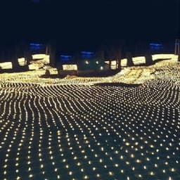 image-Christmas led lights string lights outdoor waterproof fishnet lights full of stars paved holiday lights wedding ins decorative lights