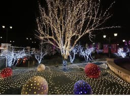 image-Christmas led lights string lights outdoor waterproof fishnet lights full of stars paved holiday lights wedding ins decorative lights