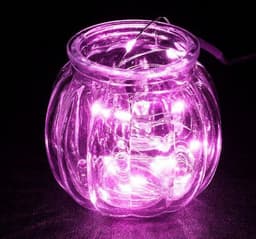 image-Solar Powered LED Garden Lights