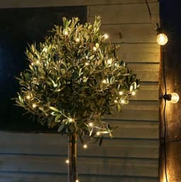 image-Solar Powered LED Garden Lights