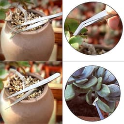 image-Succulents Potted Gardening Tool Set Succulent Seedlings Spray Bottle Watering Pot Soil Shovel Potted Trim Tube Shovel
