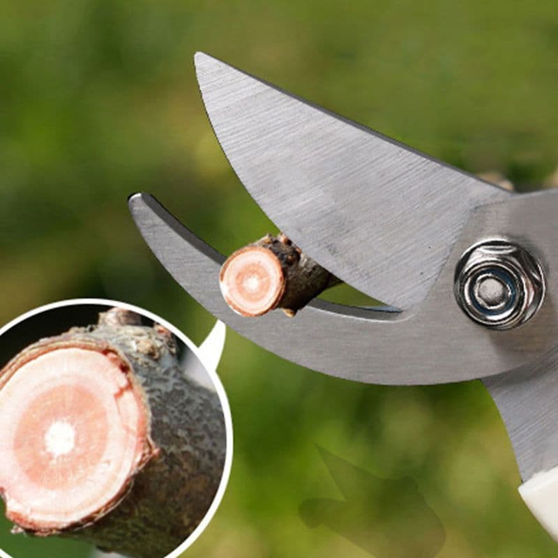 image-Stainless Steel Fruit Tree Gardening Pruning Branches Garden Labor-saving Flower Pruning Shears Household Strong Shears