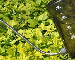 image-Stainless Steel Long Mouth Plastic Watering Pot Meat Sprinkling Pot Green Plant Pot Sprinkling Pot Large Gardening Tool