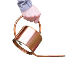 image-Gardening Retro European Style Meaty Stainless Steel Long Spout Watering Jug