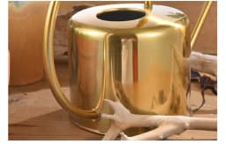 image-15L Stainless Steel Semicircle Watering Can Gardening Metal Watering Can