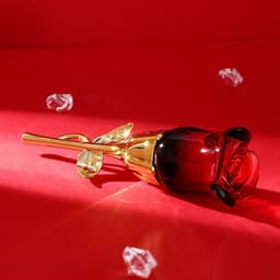 image-Midnight Rose Perfume For Women Lasting