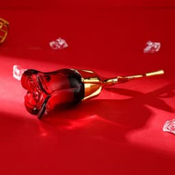 image-Midnight Rose Perfume For Women Lasting