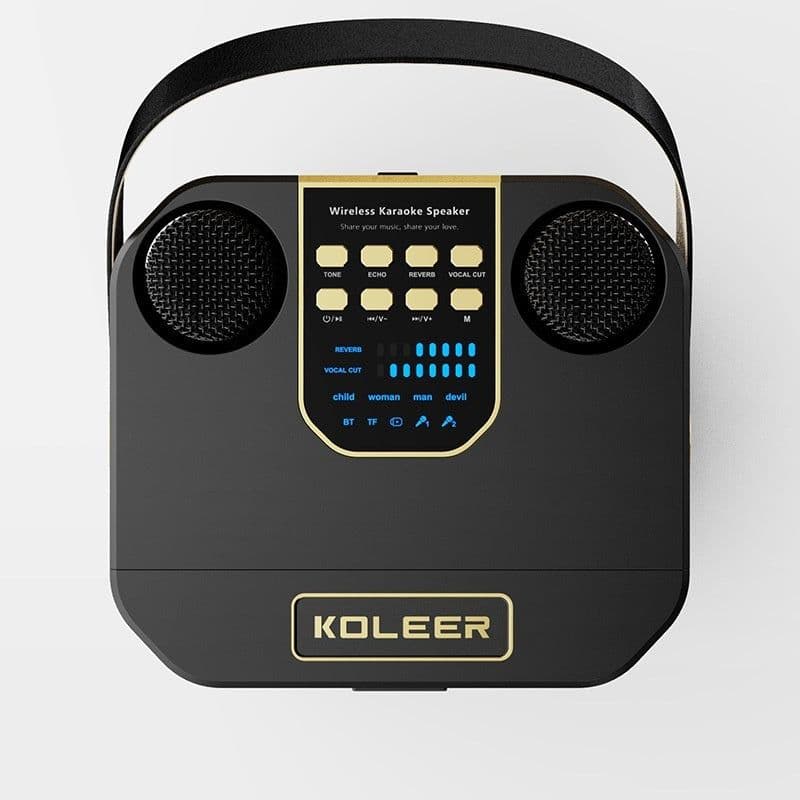 image-Dual Stereo Portable Karaoke