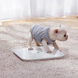 image-Original Xiaomi 2.0 Weight Scale Bluetooth 5.0 Intelligent APP Control Precision Scale LED Display Fitness Home Weight Measuring