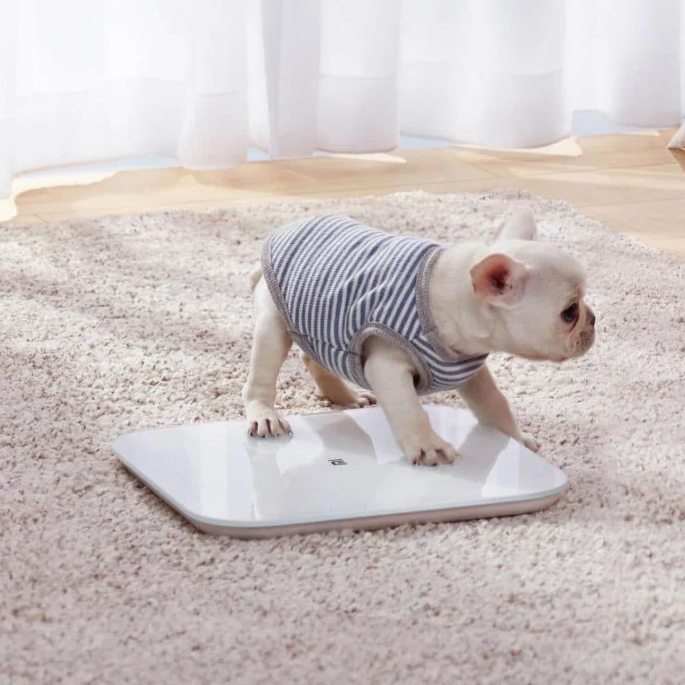 image-Original Xiaomi 2.0 Weight Scale Bluetooth 5.0 Intelligent APP Control Precision Scale LED Display Fitness Home Weight Measuring