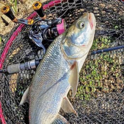 image-Gomexus Spinning Reel Handle Carbon Eging For Shimano Handle Vanford Stradic Twinpower 98mm Double Handle Tunning Handle